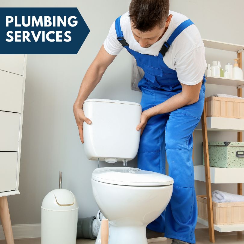 Plumbing Company in Filion, MI